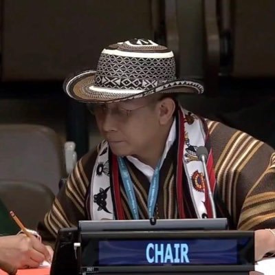 Secretario Técnico @Filac_ - Presidente del Foro Permanente 2022 - 2024 / Chair of the UNPFII @UN4Indigenous: 2022 - 2024