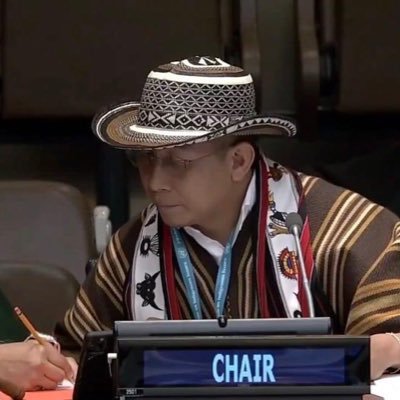 Presidente del Foro Permanente de Naciones Unidas para Cuestiones Indígenas 2022 - 2024 / Chair of the UNPFII @UN4Indigenous de @Onu_es 2022 - 2024