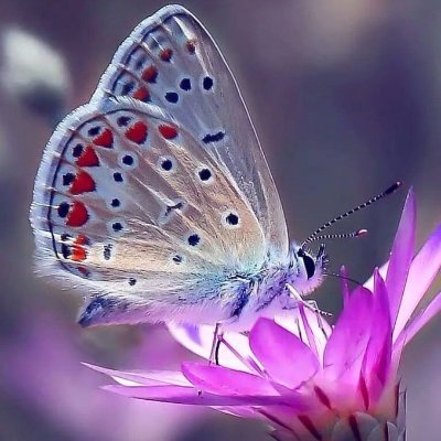 abbas_7609's profile picture. 