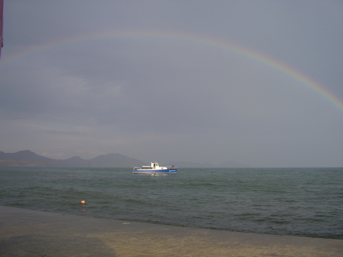 bezmegna's profile picture. 🐱