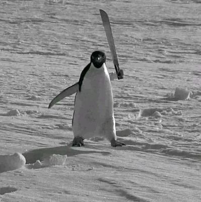 redeemcodepubg's profile picture. 