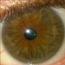 ian bushell - @ibushell - Twitter