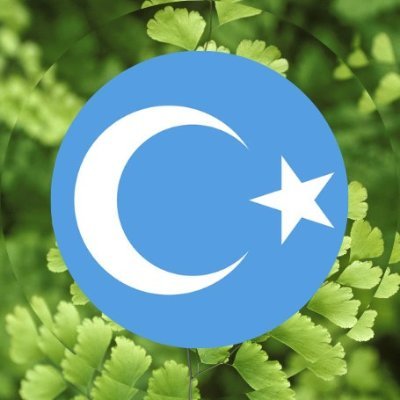 Aotearoa New Zealand solidarity for Uyghurs & other oppressed peoples of East Turkistan
Insta: https://t.co/sk63z431CD
FB: https://t.co/wzwv3MPRtW