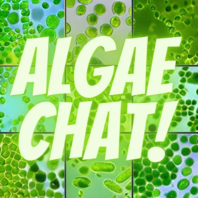 Sharing all things awesome algae!