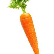 Carrot