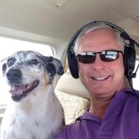 David James (@davidja433) 's Twitter Profile