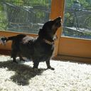 A Killen - @AnnKillen - Twitter