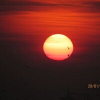 HAMZA HAMZAOĞLU (@saskada) 's Twitter Profile