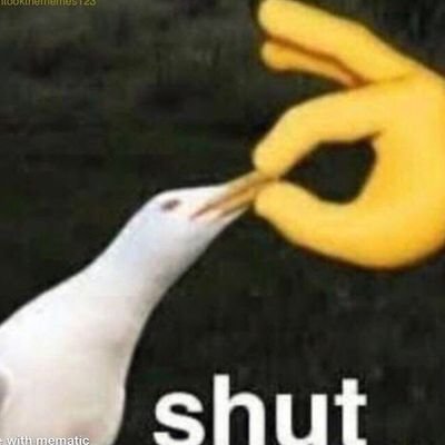 Choco_Lemons's profile picture. Woohoo🤺
21 
I'm just here to lurk on posts that I like lol