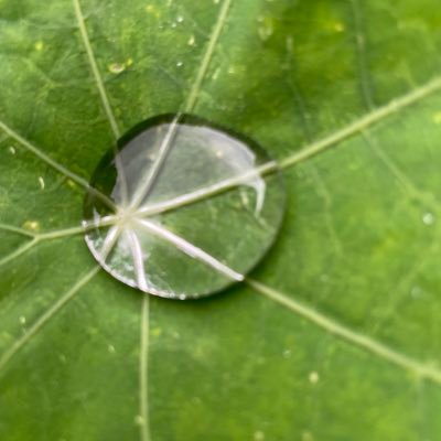 Linnieangels's profile picture. Make the world a better place one can of soup at a time.