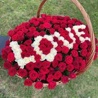 أبو خالد خاطر (@yasrkhatr1) 's Twitter Profile