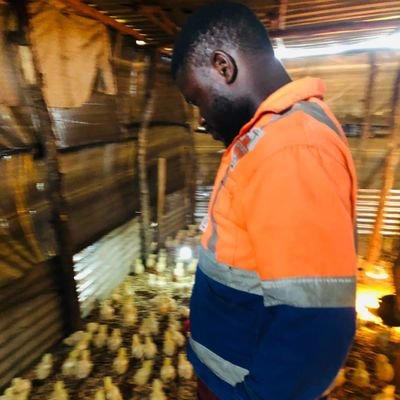 Chicken farmer🐓|Husler🧑‍🌾| Student👨🏿‍🏫|