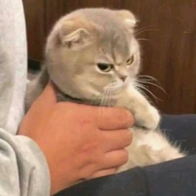 llock__'s profile picture. Developer, musician, gamer, in no specific order. FFXIV: Lily Lock@Jenova.