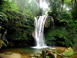 archy12sengar's profile picture. obsessed with books.loves music, movies and nature.dreams of being a published author.