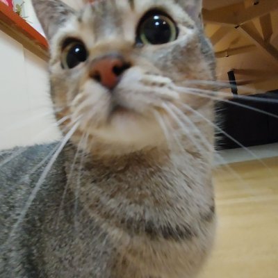 ✮AKITA✮さんのプロフィール画像