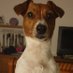 Tess' Travels UK πΎ (@tesstravelsuk) Twitter profile photo Tess' Travels UK πΎ (@tesstravelsuk) Twitter profile photo