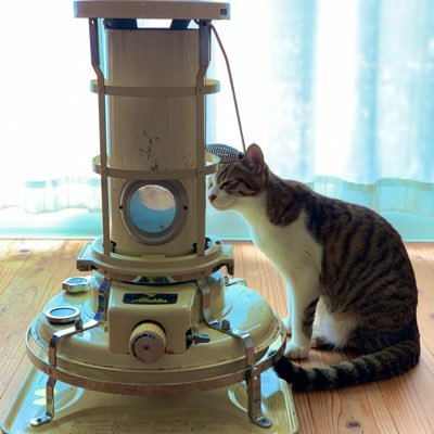 Ku1lug0ETMch0eL's profile picture. 多趣味な3月生まれのコーヒー好きです。