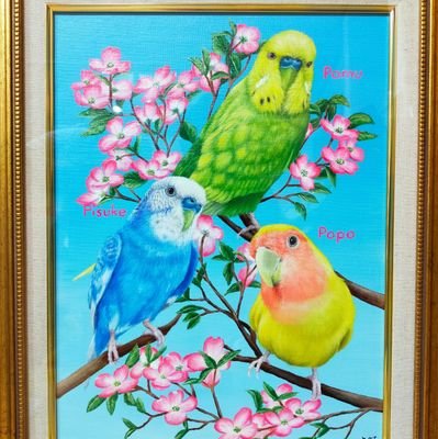 mizukin25177198's profile picture. 色物の奇人変人です(   ˙꒳​˙ )🐦💨

基本的には(絶対とは言ってない)ColorSingやカラスタの音楽用アカウントなーりー(･ิω･ิ)🐦ｳｨｰ🤘

ピスケ🐦🌈ポポ🐦パム🐦の下僕