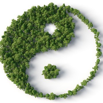 fae2997's profile picture. I acknowledge that Jesus is Lord over my life...