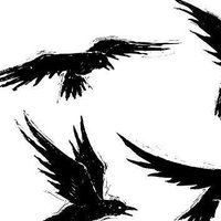 levi (@levi2a) 's Twitter Profile