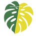 ç§ã®ã¢ã³ã¹ãã© (@mymonstera) Twitter profile photo ç§ã®ã¢ã³ã¹ãã© (@mymonstera) Twitter profile photo