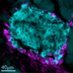 Tuluc's Lab (@tuluclab) Twitter profile photo Tuluc's Lab (@tuluclab) Twitter profile photo