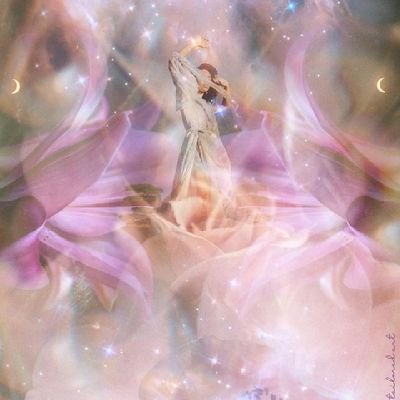 assumptionquote's profile picture. 