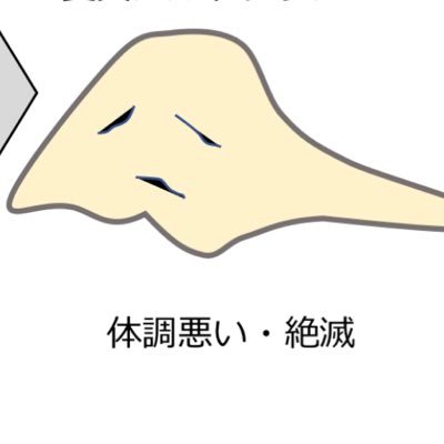 はしもとっぽいどさんのプロフィール画像