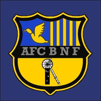 AFCNewFordley Profile Picture