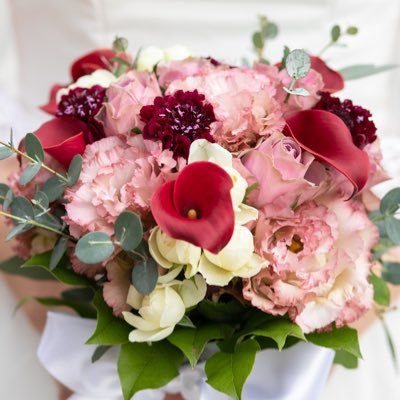 wwNATCHANww's profile picture. 