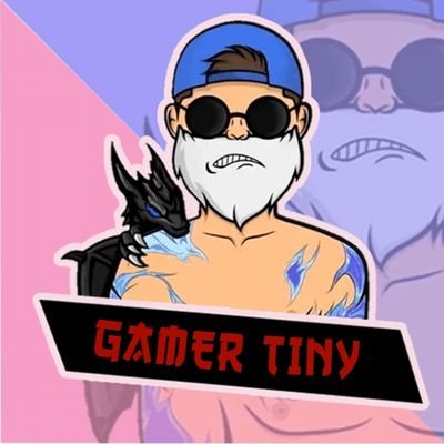 Gamer_tiny55