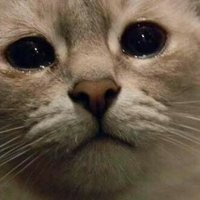 Sumet Worachai (@worachaix024) 's Twitter Profile