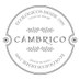 Bodega Cámbrico (@bodegacambrico) Twitter profile photo Bodega Cámbrico (@bodegacambrico) Twitter profile photo