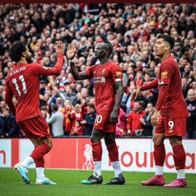 Liverpool,Dr newman health consult , I love dogs
Connect-Philia Ltd.