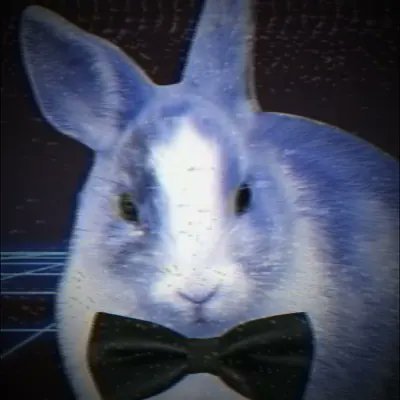 A Random Game Developer 🐇

Gamejolt Account: https://t.co/gfny6xdvE9

(i won't really do nothing with this account tbh)
