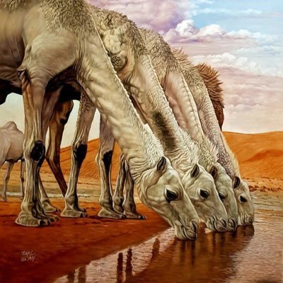 #الإحترام لا يدل على حب، إنما يدل على حسن التربية. فإحترم حتى لو لم تحب
