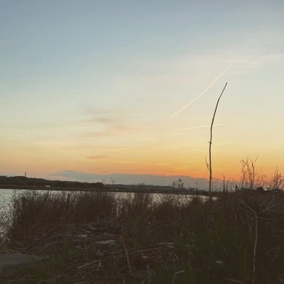 koma_HIM's profile picture. 病院勤務3年目。診療情報管理室 診療情報管理士(DPCコース) / 医療情報技師 / 医療経営士3級/DPCデータ分析・クリニカルパス・QI