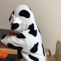 みのもん@DIY屋 (@dnosentaku) 's Twitter Profile Photo みのもん@DIY屋 (@dnosentaku) 's Twitter Profile Photo