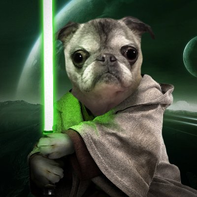 BillFryer's profile picture. 