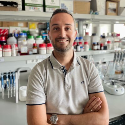 davidvcbrito's profile picture. 