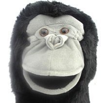 SimianLegumes's profile picture. Chief Monkey

I take no responsibility for anything I may say. Humans are not special. There are no gods. No-one gets through unaffected or gets out alive.