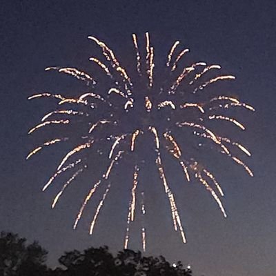 Among84738431's profile picture. I post about my dog. I do art, don't really have a theme though. I will also post my online art and you guys can rate! Please don't hate.