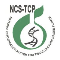 NCS-TCP(@NcsTcp) 's Twitter Profileg