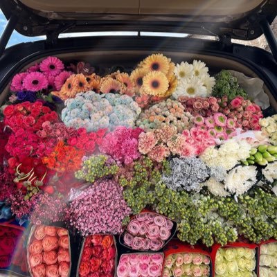 Ensan_Ra8e's profile picture. بكالوريس فيزياء .. متخرج من جامعة الملك سعود:.