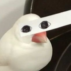 answnsgnl20's profile picture. 20⬆️ 구독합니다