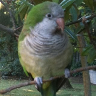 Sanduka22's profile picture. 