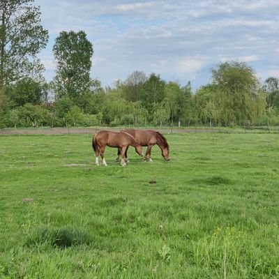 twireader1318's profile picture. маю думку, яка може не співпадати з вашою...