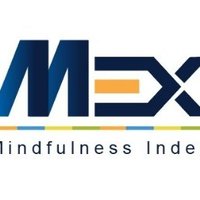 MEx(@MEx_Mindfulness) 's Twitter Profile Photo