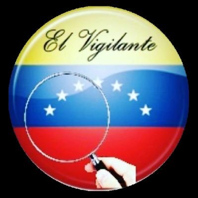 elvigilantexvz1 Profile Picture