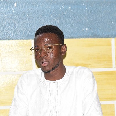 Jeune activiste, engagé pour la défense des Droits en santé sexuelle et reproductif des adolescents et jeunes au Bénin
PFR/MAJ-ABPF
Animateur de Z/Pkou -N'Dali
